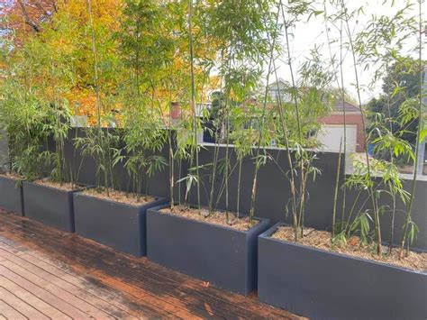 bamboo planter boxes for sale square wooden metal|large garden containers for bamboo.